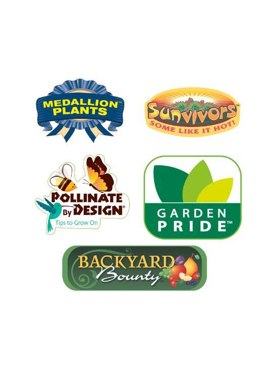 Our Brands Our Brands