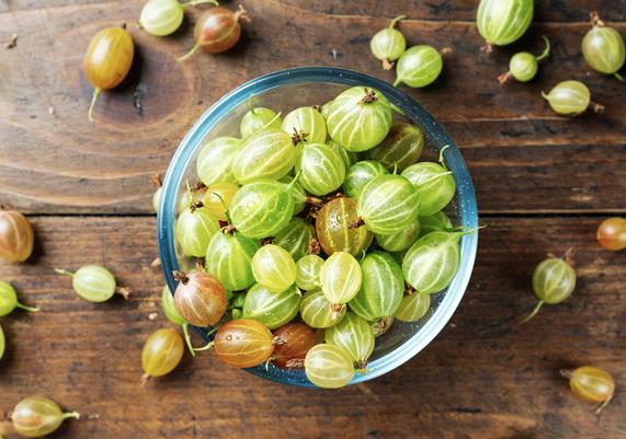 Gooseberry